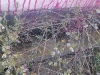imag0178